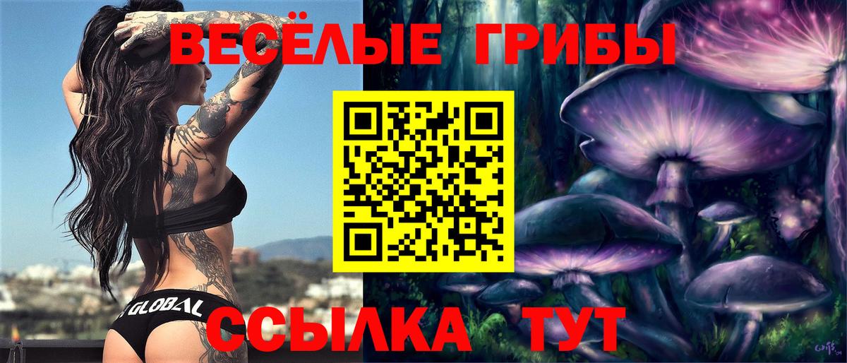 Галлюциногенные грибы мицелий  Вход с VPN  закладки  Псилоцибиновые грибы Psilocybine cubensis  Миллерово 