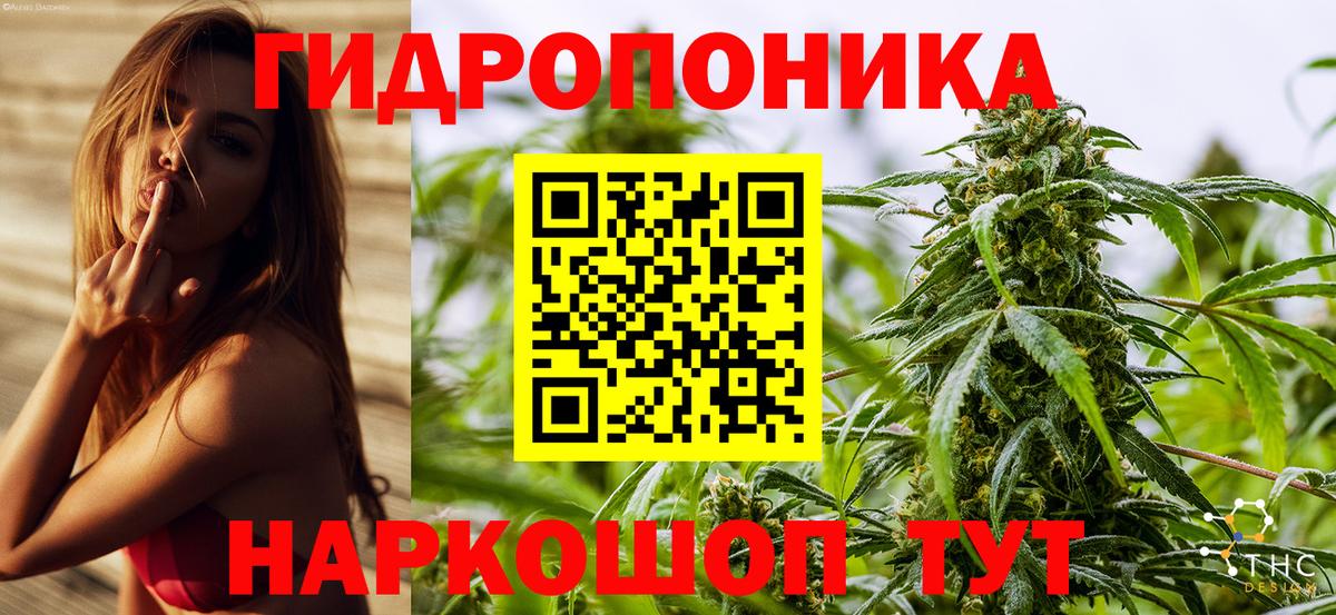 Бошки Шишки THC 21%  Каннабис OG Kush  Вход с VPN  Миллерово 